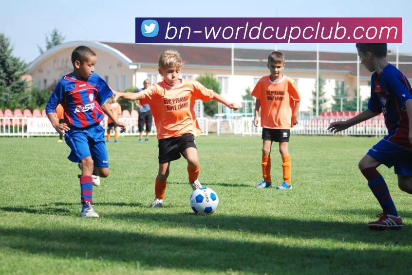 App Interface Preview